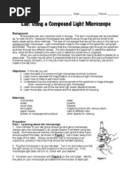 Using Microscope Lab