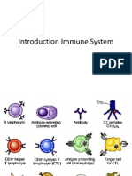 Introduction Immune System