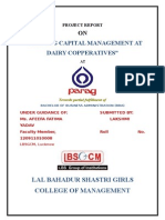 "Working Capital Management at Dairy Copperatives": Lal Bahadur Shastri Girls College of Management