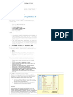 Manual de Utilizare ISDP 2011