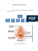 Anatomi - Fisiologi - Pemeriksaan - HIDUNG & SINUS PARANASAL