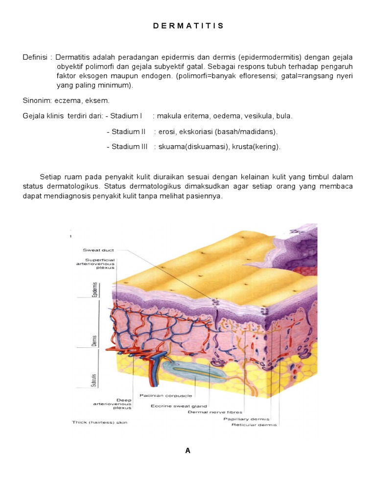 Dermatitis (Distribusi Lesi) | PDF
