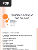 Principais Doenças nos Equinos