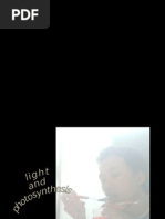 Download Plant Photosynthesis by Bryan Berayon Atas SN2480438 doc pdf