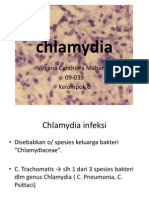 chlamydia.pptx