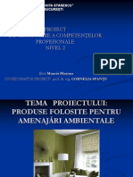 Prezentarea Proiectului de Certificarea Competentelor Profesionale 