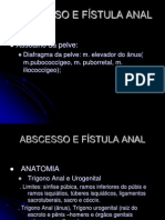 Abcesso e Fístula Anais