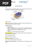 Aula Nº 2 - Anatomia e Fisiologia