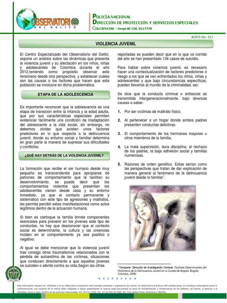 Análisis de la Violencia Juvenil en Colombia | PDF | Derecho penal ...
