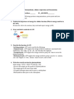 classwork on photosynthesis cellular respiration and fermentation