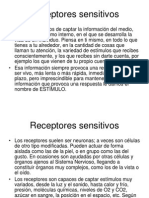 Receptores Sensitivos