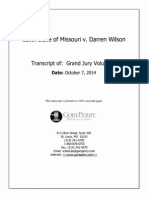 Ferguson Grand Jury Volume 11