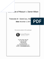 Ferguson Grand Jury Volume 18