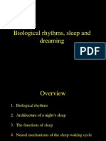 Biological Rhythms, Sleep Architecture and Functions in 40 Characters