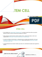 2. Stem cell