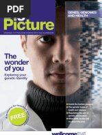 Download Big Picture Genes Genomes and Health by Wellcome Trust SN24813381 doc pdf