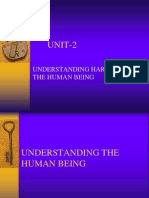 Maslows Hierarchy of Human Needs