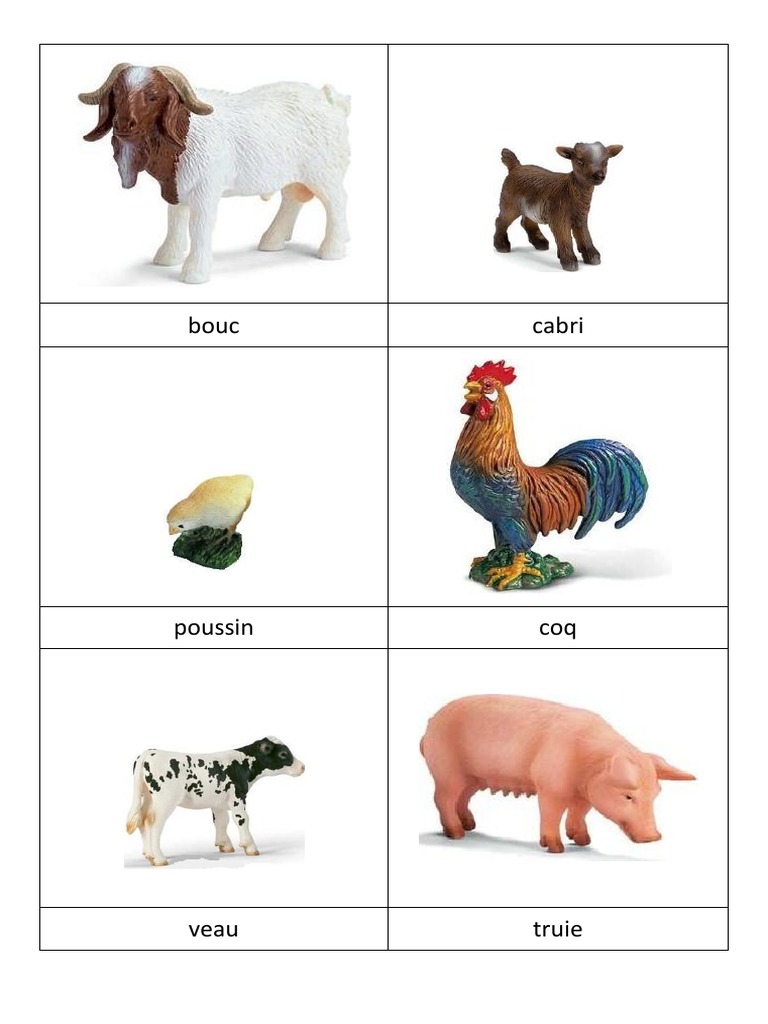 Animaux de la ferme : imagier PDF | PDF | Livres de cuisine, nourriture ...