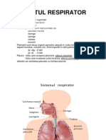 Aparatul Respirator