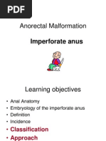 Download Anorectal Malformation by Jaya Prabha SN248147432 doc pdf