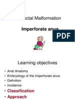 Anorectal Malformation Guide