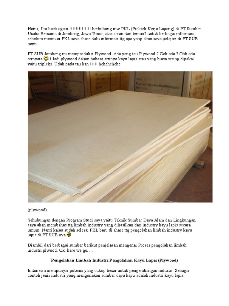 Kayu Lapis Pdf