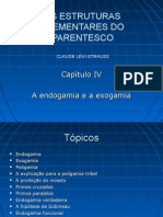 22972417-As-Estruturas-Elementares-Do-Parentesco.pdf