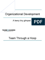 Organization Development Teams Presentation