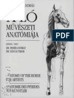 A Ló Művészeti Anatomiája PDF