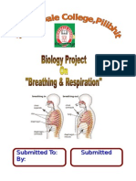 Breathing and Respiration