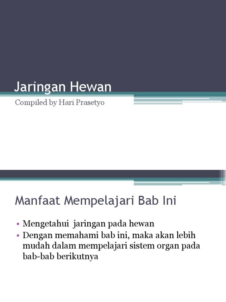 3 Jaringan Hewan ppt 3 Jaringan Hewan ppt