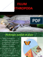 FILUM ARTHROPODA