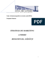 Strategia de Marketing A Firmei Bemanis SRL Radauti