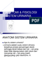 Anatomi & Fisiologi Sistem Urinaria