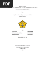Download Ante Mortem  Post Mortem RPH  RPU by Amrul Ilman Z SN248194255 doc pdf