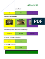 A Frog's Life Stage Quiz: 1. How Many Frog Stages Are There?