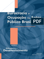 burocracia ocupacao publica ipea.pdf