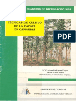 Cultivo de Papaya PDF