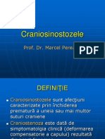 Cranio Steno Zele