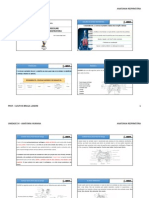 Unidade 04 - Anatomia Respiratória