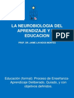 La Neurobiologia Del Aprendizaje y La Educacion Abril2010-1
