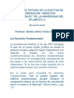 1derechos Fundamentales Contenido