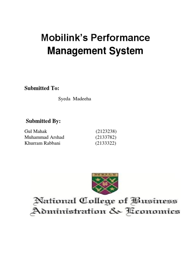 Mobilink Performance Management | PDF