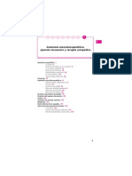 anatomia del aparato locomotor