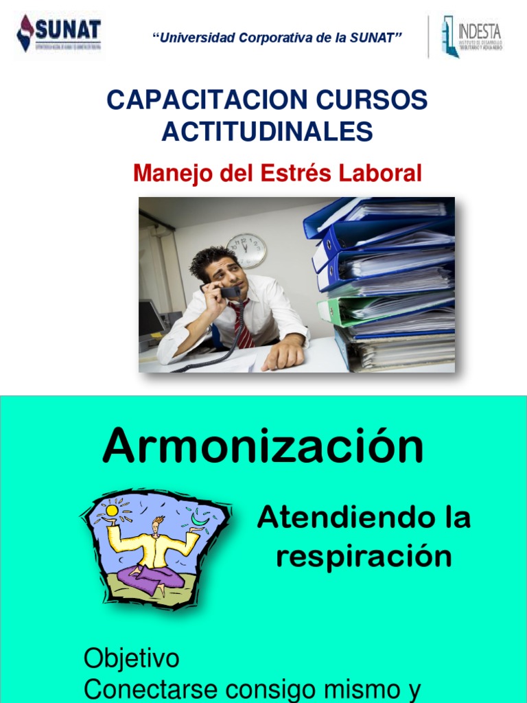 Capacitación en Manejo del Estrés Laboral | PDF | Estrés (biología ...