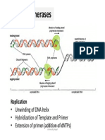 presentation8 DNA replication 2.pdf