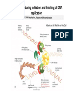 Presentation10 Initiation & finishing of DNA replication.pdf