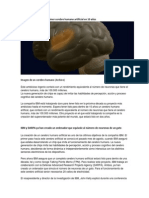 Cerebro Artificial
