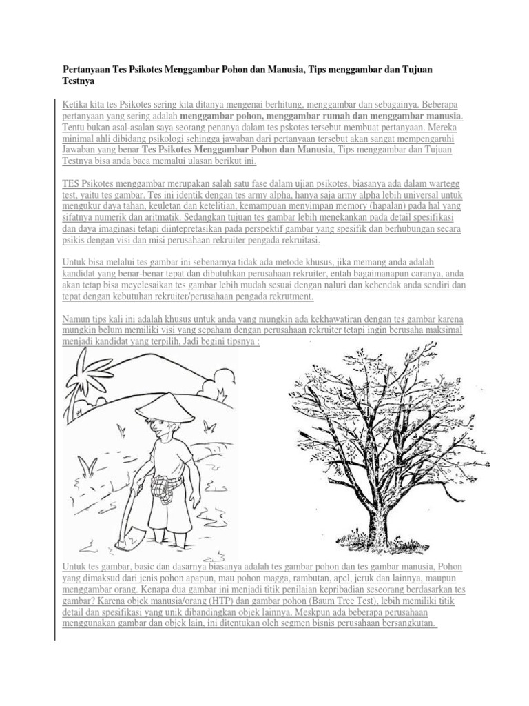 Gambar Pohon Tes Psikotes Yang Benar Psikotes Untuk Kamu