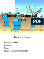 RECEPTORES TIPO TOLL.pptx